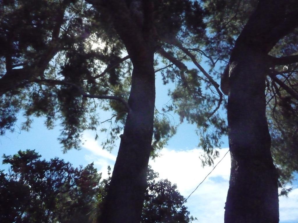 Woodland Hills Calabasas Guesthouses Los Angeles Ngoại thất bức ảnh